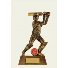 CUT SHOT BATTING 240MM CUT SHOT BATTING 240MM