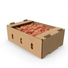 APRICOTS  5KG/CTN APPROX - SEASONAL