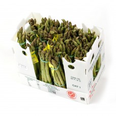 ASPARAGUS 5KG/CTN - APPROX - SEASONAL