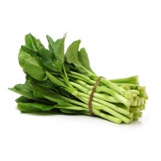 BROCCOLI KG