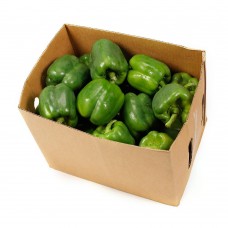 CAPSICUM GREEN 8-10KG/CTN