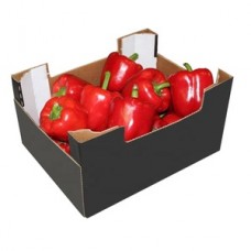 CAPSICUM RED 8-10KG/CTN