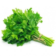 CORIANDER  BUNCH