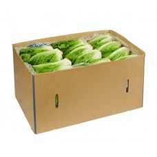 LETTUCE COS 12/BOX