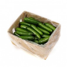 CUCUMBER LEBANESE 10 KG/BOX
