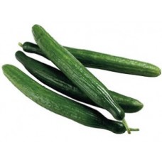 CUCUMBER CONTINENTAL EACH