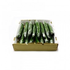CUCUMBER CONTINENTAL 15/BAG