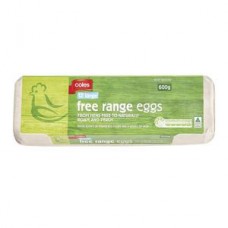 EGGS FREE RANGE 15DOZ BOX 700GM