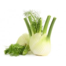 FENNEL KG - SEASONAL