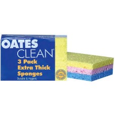 OATES DURE FRESH SCOURER SPONGE 3PK