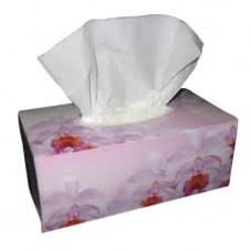 FACIAL TISSUES 2PLY 100SH UNIT