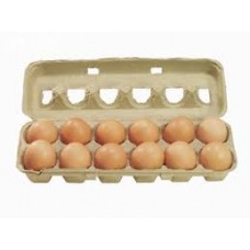 EGGS FRESHER 600GM 12PK