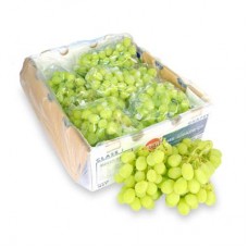 GRAPES GREEN  1OKG/CTN ONLY - SEASONAL 