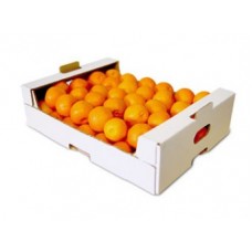 MANDARINS  1OKG/CTN - SEASONAL 