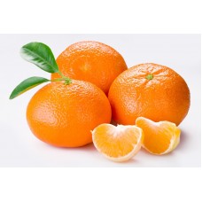 MANDARINS KG