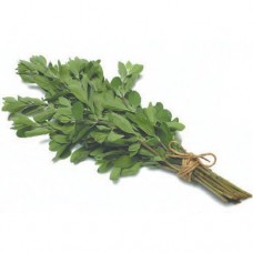 MARJORAM BUNCH