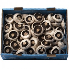 MUSHROOMS (4KG/CTN)
