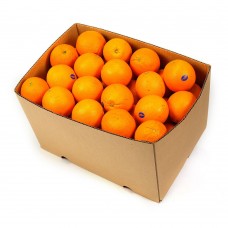 ORANGES NAVEL KG APPROX 20KG/CTN