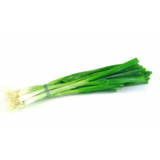 SPRING ONIONS  BUNCH