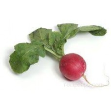 RADISH EACH
