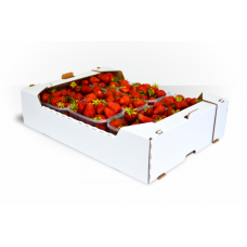 STRAWBERRIES 250GM 15 PUN/TRAY