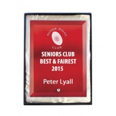 RED GLASS RECTANGLE 150MM RED GLASS RECTANGLE 150MM