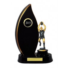 FLAME OFFSET TIMBER TROPHY 290MM FLAME OFFSET TIMBER TROPHY 290MM