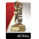 Netball