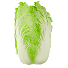 CABBAGE CHINESE (WOMBOK) 12/BOX